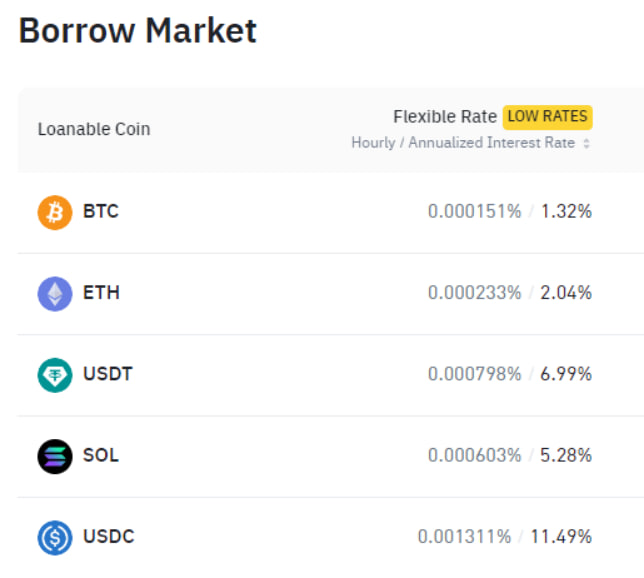 borrow Kako Funkcionišu Binance Loans